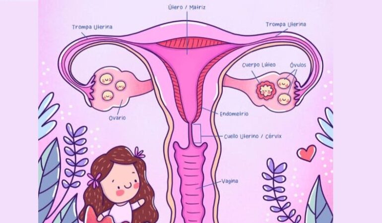 Libro Educación Menstrual para niñas